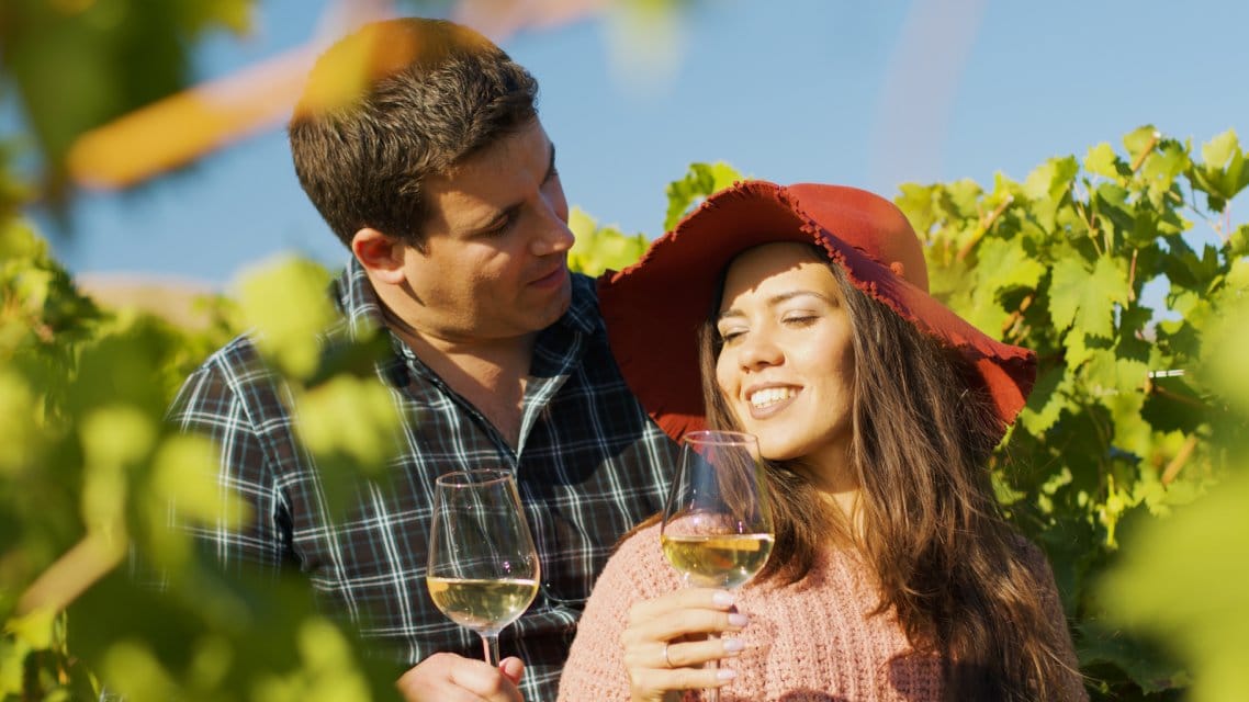 Wine tours in Yarra Valley